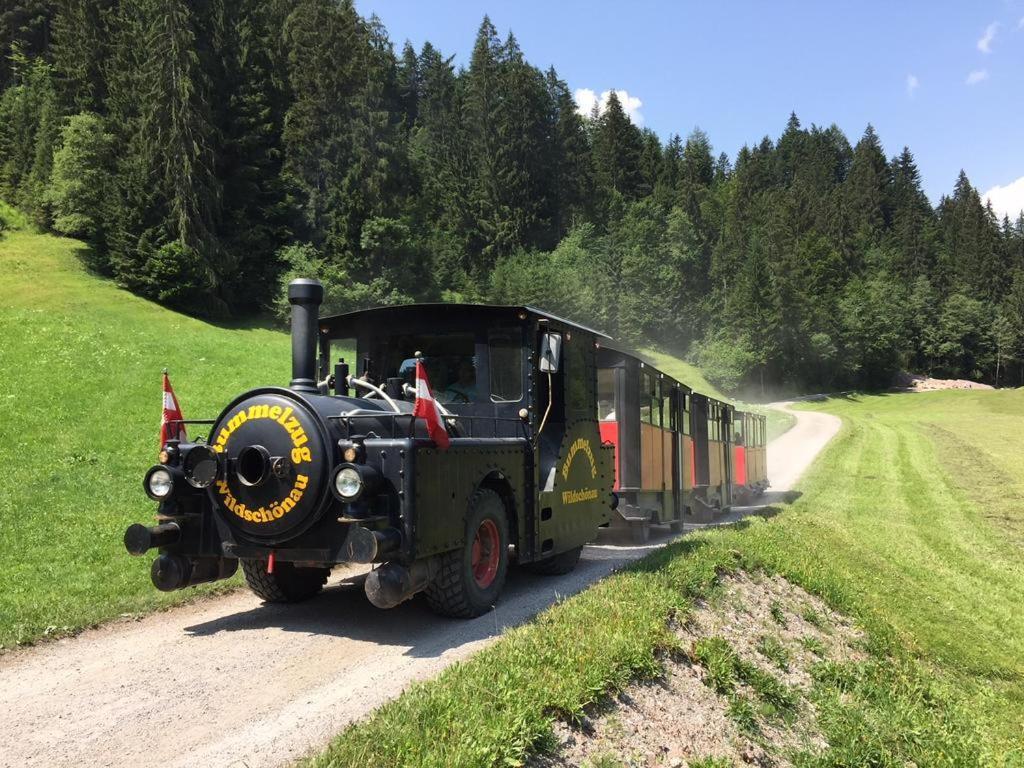 Sonnenalp Niederau Apartment Bagian luar foto